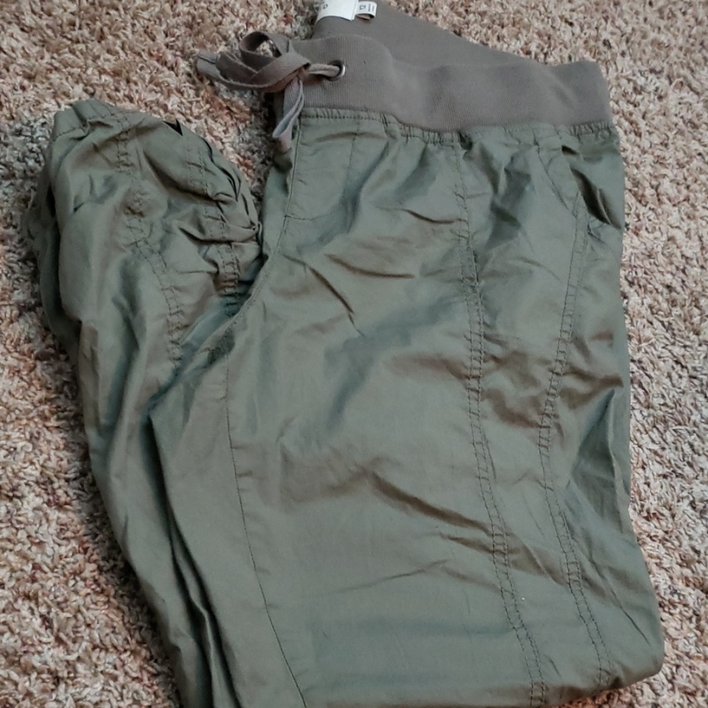 Torrid pants